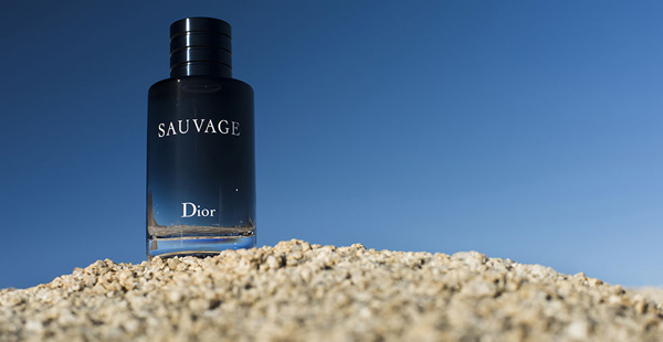 Sauvage-Cover-Photo